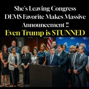 Another House Dem drops out of 2026 rat race as party faces generational reckoning